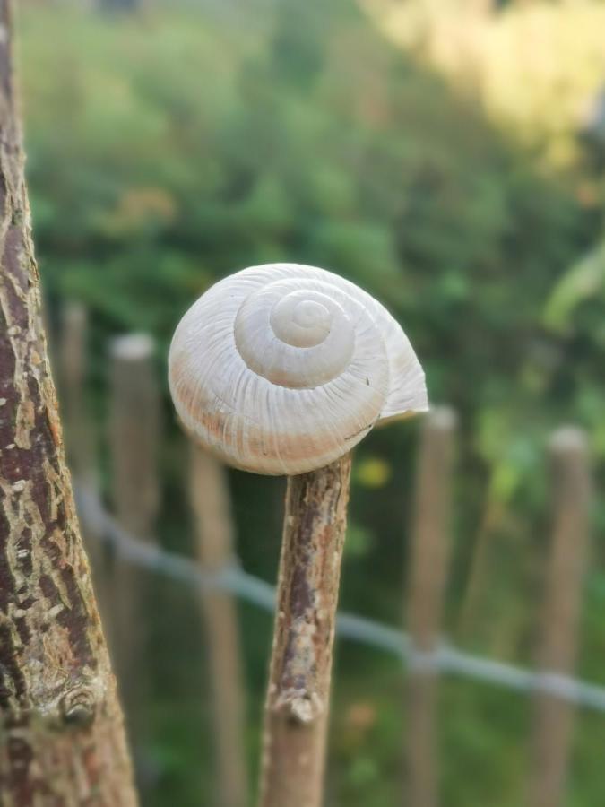 Ferienglueck An Der Nordsee Buche Deine Erdgeschoss-Ferienwohnung Mit Kamin Terrasse Und Eingezaeuntem Garten Fuer Unvergessliche Auszeiten Altfunnixsiel Exteriér fotografie